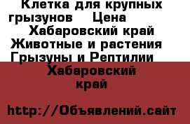 Клетка для крупных грызунов  › Цена ­ 4 000 - Хабаровский край Животные и растения » Грызуны и Рептилии   . Хабаровский край